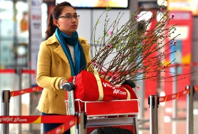 Đào, mai, quất... 'bay' Hà Nội - TP.HCM đón Tết Nguyên đán: 500.000 đồng/bó - 1