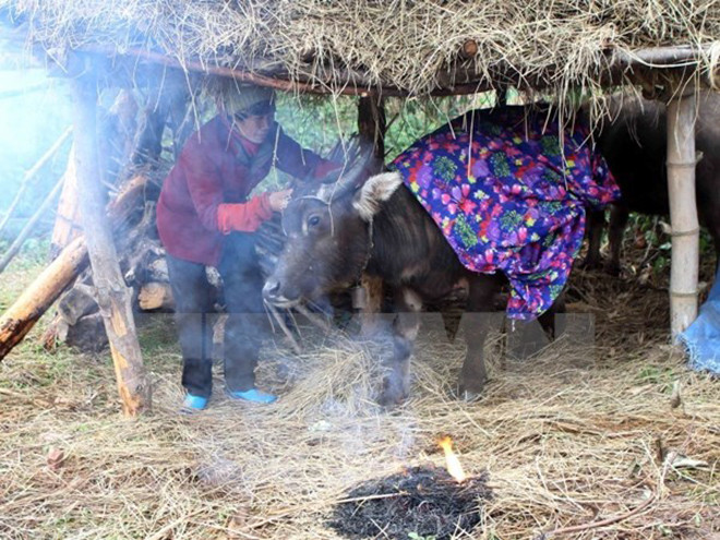 Dự báo thời tiết hôm nay 24/12: Bắc Bộ hanh khô, vùng núi có nơi rét dưới 7 độ C - 1