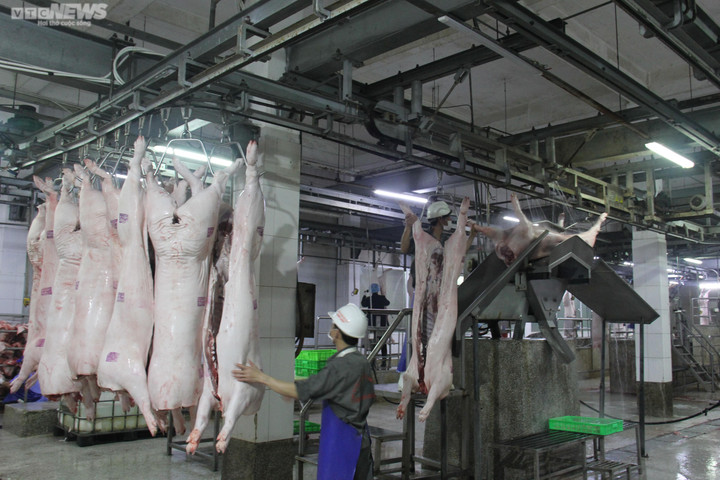 Giá heo hơi hôm nay 24/12: Đi ngang trên cả nước - 2