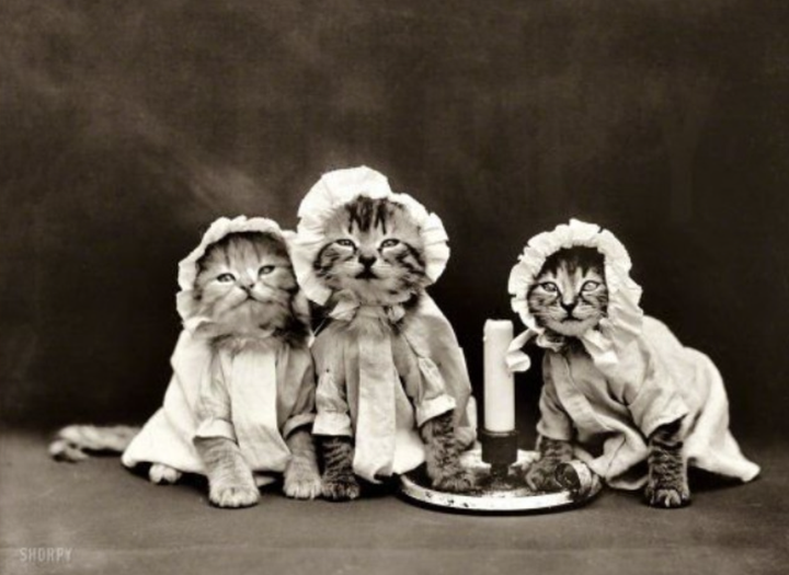 Những bức ảnh hé lộ cuộc sống trong quá khứ khiến nhiều người ngỡ ngàng - 1