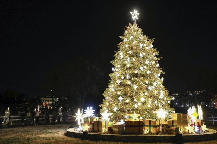 Chiêm ngưỡng những cây thông Noel độc đáo và hoành tráng trên thế giới - 4