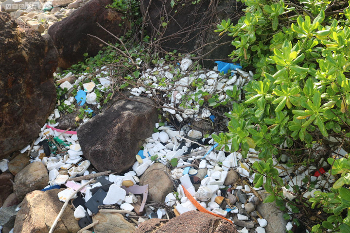 Bình Định: Thu gom rác ứ đọng, làm sạch bờ biển Ghềnh Ráng - 1