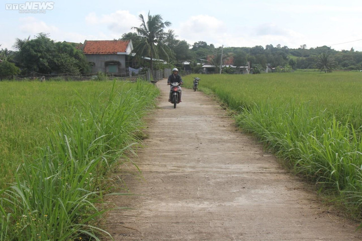 Đình chỉ một chủ tịch thị trấn để dân xây dựng trái phép trên đất dự án cao tốc - 1