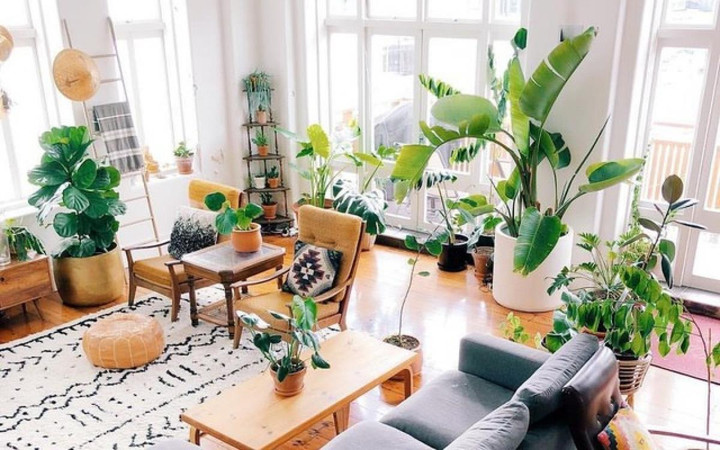 Không khí trong nhà có thể ô nhiễm và gây nguy hại hơn ngoài trời - 2