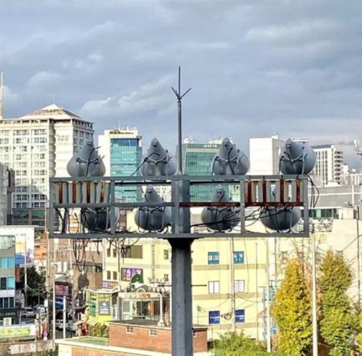 Loạt khoảnh khắc trùng hợp đến lạ lùng, phải nhìn lại nhiều lần mới hiểu được - 11