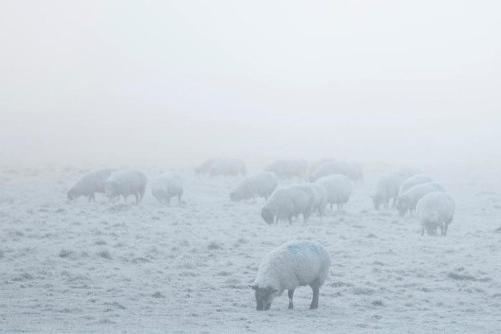 Người dân nhiều nơi trên thế giới co ro trong giá rét trước thềm năm mới 2023 - 5