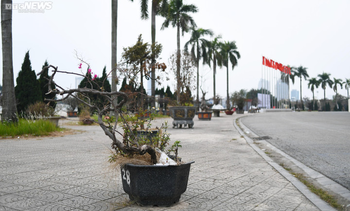 Bãi rác bốc mùi trong sân Mỹ Đình trước trận tuyển Việt Nam vs Myanmar - 2