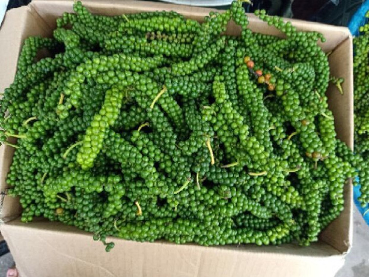 Giá tiêu hôm nay 4/1/2023: Kéo dài chuỗi ngày đi ngang - 1