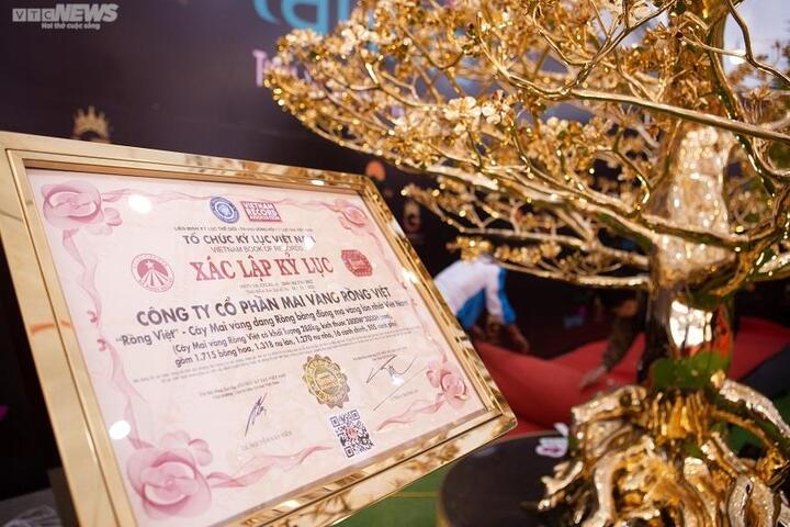 Chiêm ngưỡng cây mai mạ vàng lớn nhất Việt Nam giá 6 tỉ đồng - 9