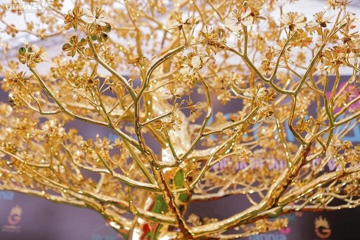 Chiêm ngưỡng cây mai mạ vàng lớn nhất Việt Nam giá 6 tỉ đồng - 4