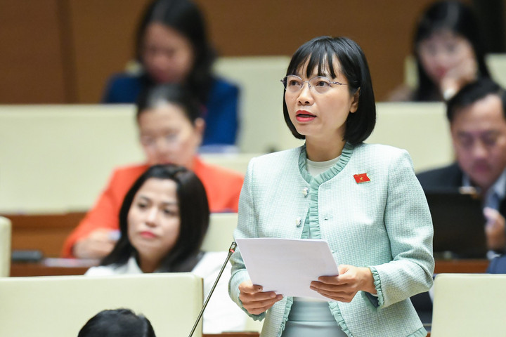 Đại biểu Quốc hội kiến nghị thành lập mô hình đài truyền hình vùng - 2