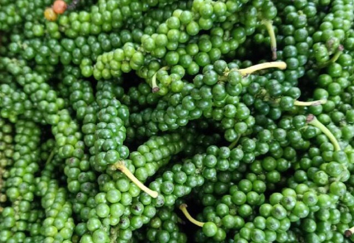 Giá tiêu hôm nay 9/1: Không có biến động, thấp nhất 57.500 đồng/kg - 1