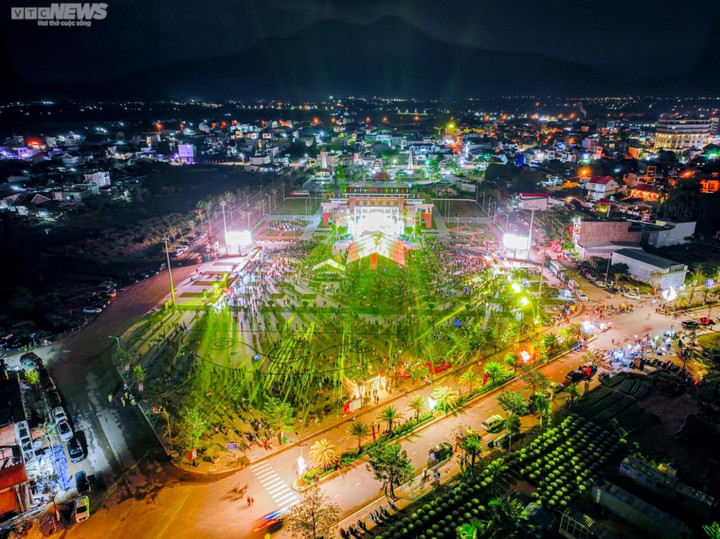 Ngắm mai cổ thụ được trả giá 3,5 tỷ đồng nhưng chủ nhân không bán - 9