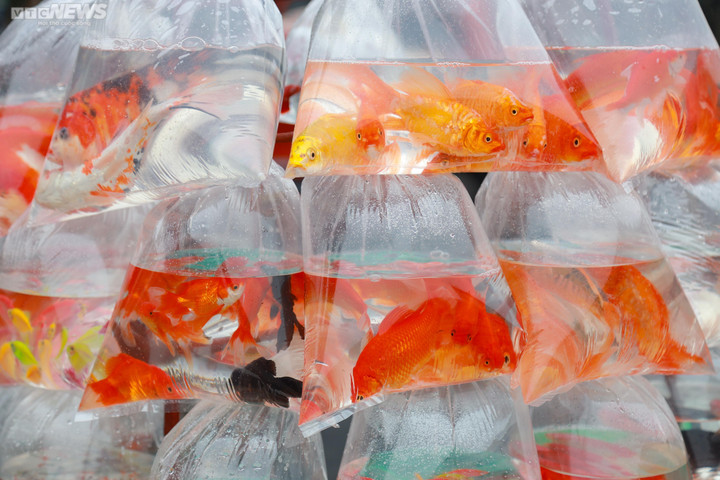 Người Hà Nội tất bật sắm lễ cúng ông Công, ông Táo - 10