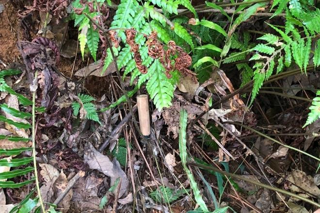 4 ngày truy bắt nghi phạm giết người, cướp xe máy ở Lai Châu - 2