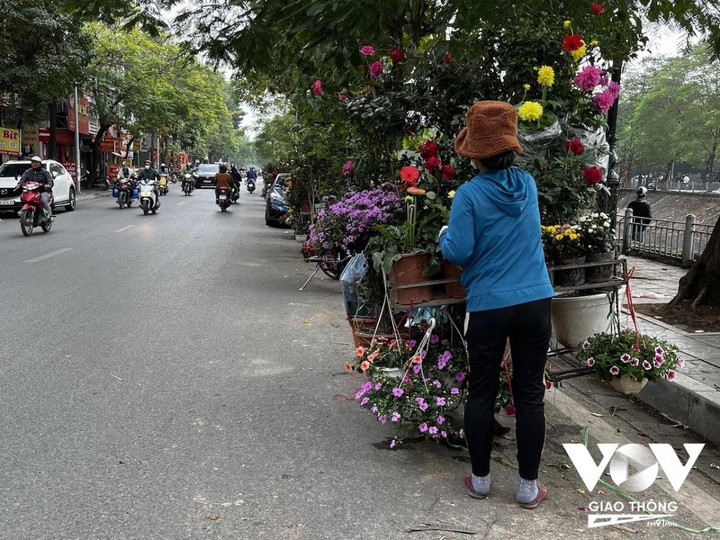 Những chiếc xe hoa chở mùa xuân trên phố Hà Nội ngày giáp Tết - 11