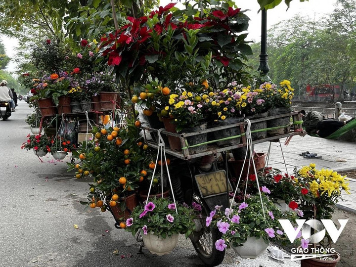 Những chiếc xe hoa chở mùa xuân trên phố Hà Nội ngày giáp Tết - 12