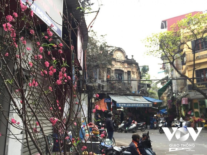 Những chiếc xe hoa chở mùa xuân trên phố Hà Nội ngày giáp Tết - 13