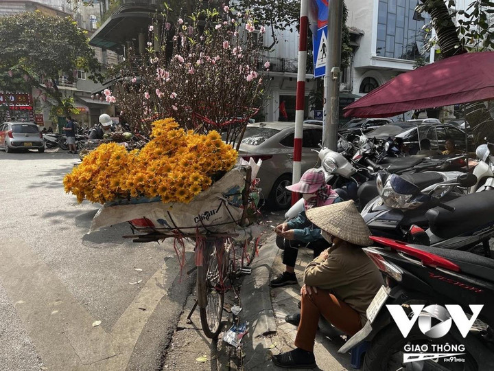 Những chiếc xe hoa chở mùa xuân trên phố Hà Nội ngày giáp Tết - 7