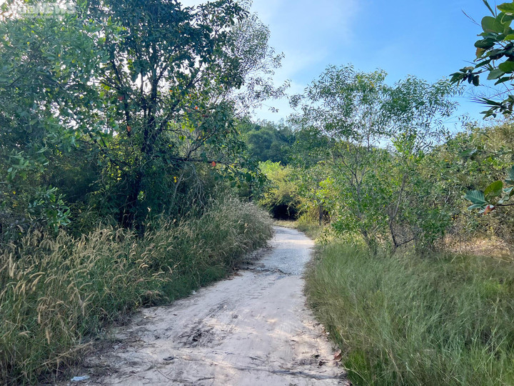 Bí ẩn những dấu chân khổng lồ trên núi Cậu ở Bình Dương - 1