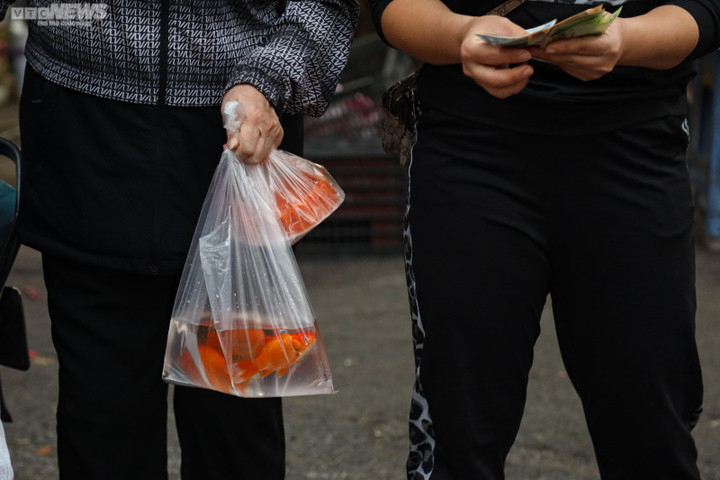 Khách cúng ông Công ông Táo 2023, chợ 'nhà giàu' Hà Nội tấp nập từ tờ mờ sáng - 12