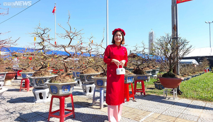 Chiêm ngưỡng cây mai trăm tuổi tiền tỷ ở chợ hoa xuân Đà Nẵng - 11