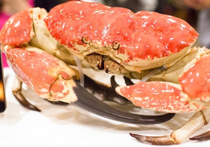 Những thú chơi đốt tiền tỷ ngày Tết của nhà giàu Việt - 3