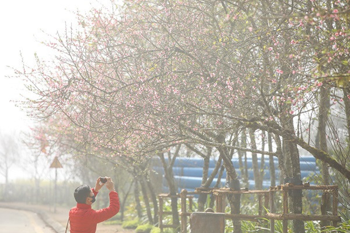 Sa Pa, Hạ Long: Nhiều điểm chơi Tết, du Xuân độc đáo - 1