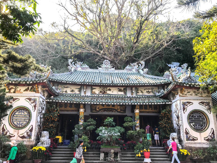 Huyền tích về những cây di sản trăm năm tuổi trên núi Ngũ Hành - 5