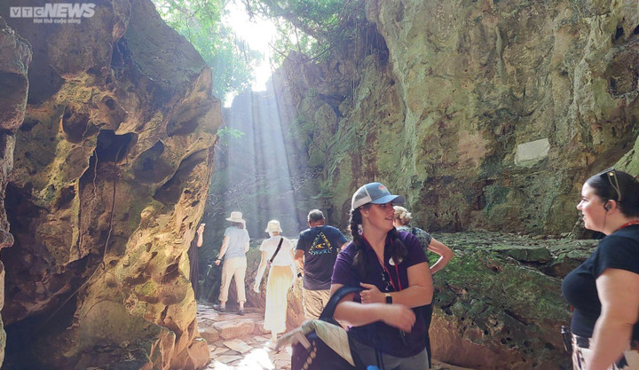 Huyền tích về những cây di sản trăm năm tuổi trên núi Ngũ Hành - 1