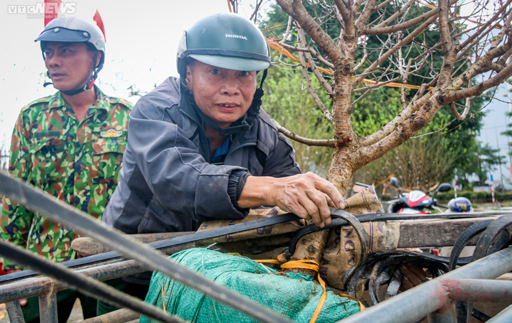 Nghề ‘chở Tết’ đắt khách những ngày cuối năm - 1