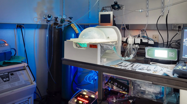 Ước mơ trường sinh bất lão: Người chết tiếp tục sống - 3