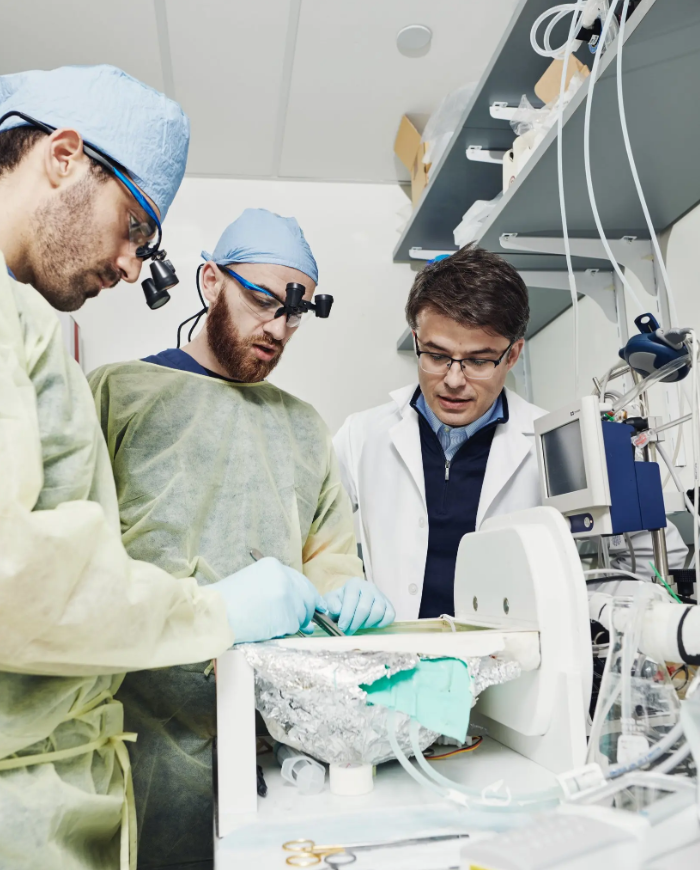 Ước mơ trường sinh bất lão: Người chết tiếp tục sống - 2