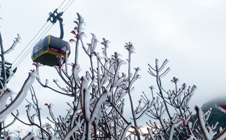 Dự báo thời tiết hôm nay ngày 18/1: Bắc Bộ rét đậm, nhiều nơi mưa nhỏ - 1