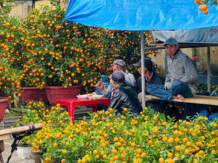 Dân Huế đội mưa rét bán hoa Tết nhưng vắng bóng người mua - 5