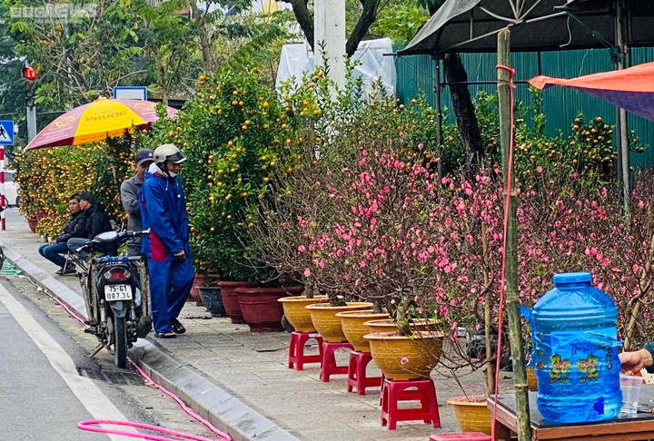 Dân Huế đội mưa rét bán hoa Tết nhưng vắng bóng người mua - 4