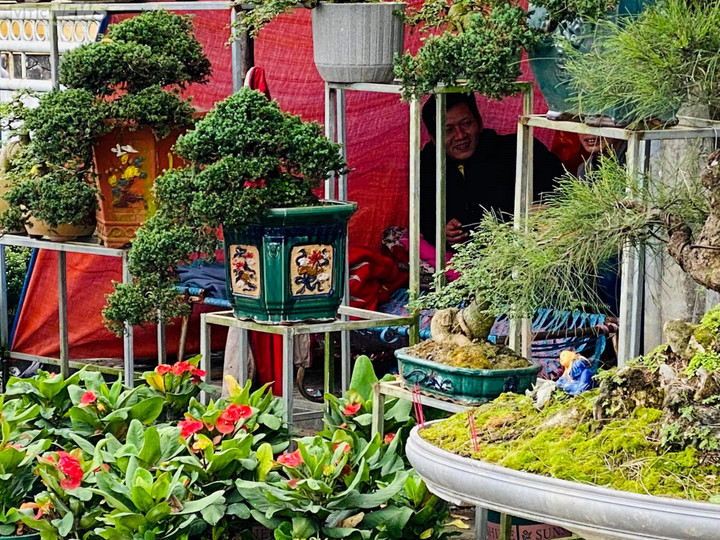 Dân Huế đội mưa rét bán hoa Tết nhưng vắng bóng người mua - 1