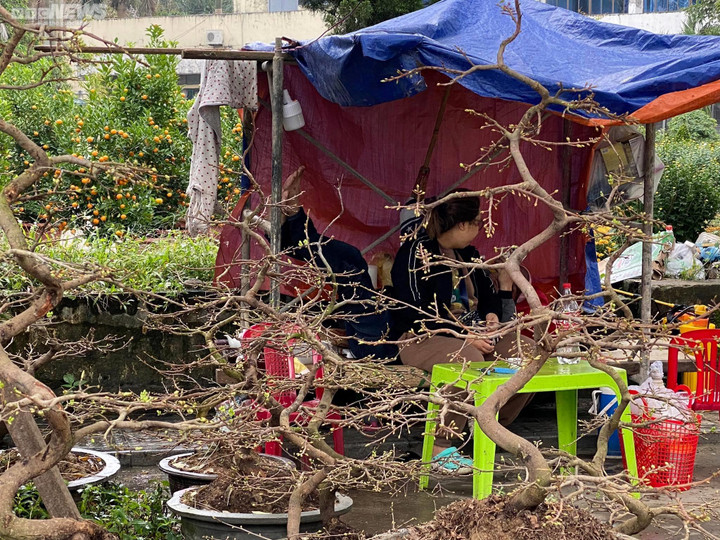 Dân Huế đội mưa rét bán hoa Tết nhưng vắng bóng người mua - 9