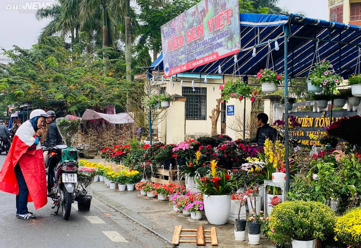 Dân Huế đội mưa rét bán hoa Tết nhưng vắng bóng người mua - 7