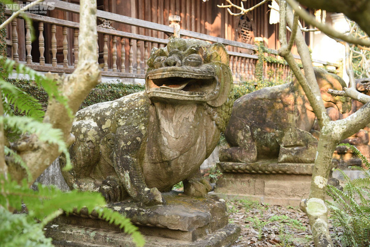 Đầu năm về miền Quan họ chiêm ngưỡng bảo vật quốc gia - 18