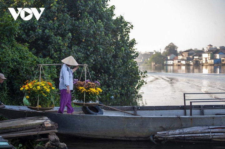 Ngắm sắc xuân rực rỡ ở làng hoa Phú Mậu, Thừa Thiên - Huế - 11