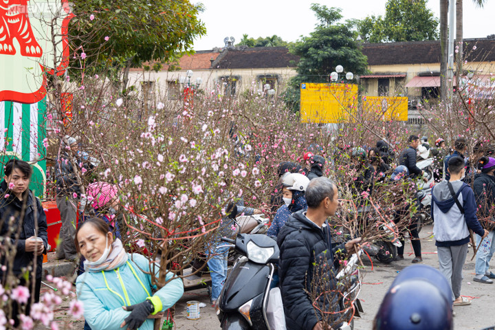 Hà Nội: Khách đổ xô đi mua đào, chợ hoa Lạc Long Quân chật kín chiều 27 Tết - 1