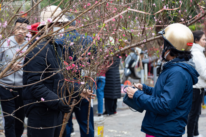 Hà Nội: Khách đổ xô đi mua đào, chợ hoa Lạc Long Quân chật kín chiều 27 Tết - 11