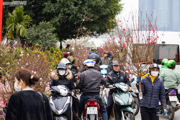 Hà Nội: Khách đổ xô đi mua đào, chợ hoa Lạc Long Quân chật kín chiều 27 Tết - 15
