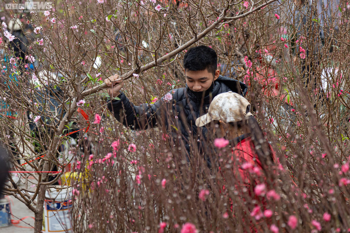 Hà Nội: Khách đổ xô đi mua đào, chợ hoa Lạc Long Quân chật kín chiều 27 Tết - 6
