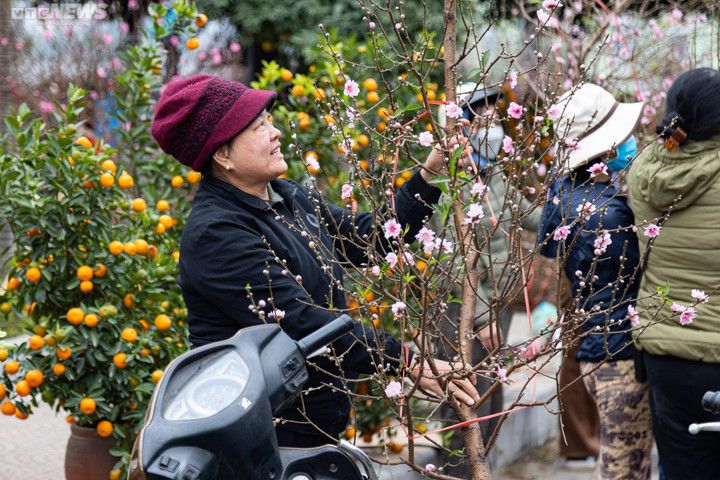Hà Nội: Khách đổ xô đi mua đào, chợ hoa Lạc Long Quân chật kín chiều 27 Tết - 7