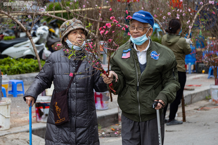 Hà Nội: Khách đổ xô đi mua đào, chợ hoa Lạc Long Quân chật kín chiều 27 Tết - 9