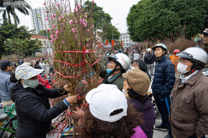 Hà Nội: Khách đổ xô đi mua đào, chợ hoa Lạc Long Quân chật kín chiều 27 Tết - 12