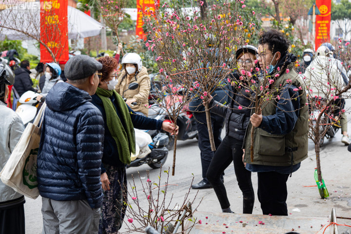 Hà Nội: Khách đổ xô đi mua đào, chợ hoa Lạc Long Quân chật kín chiều 27 Tết - 8