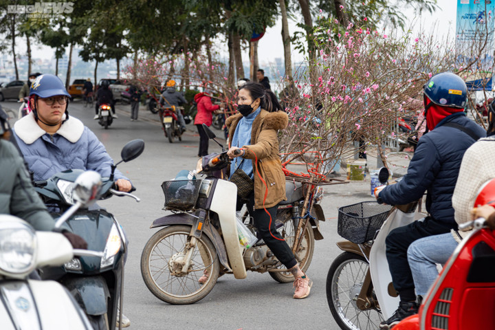 Hà Nội: Khách đổ xô đi mua đào, chợ hoa Lạc Long Quân chật kín chiều 27 Tết - 13